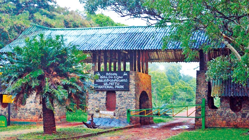 Wilpattu National Park